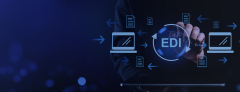 Ricerca mercato EDI 2025 Largo Consumo